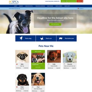 Screenshot of the BC SPCA WordPress website, designed by Justine Pitcher