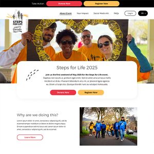 Screenshot of the Threads of Life teamraiser page designed by Justine Pitcher